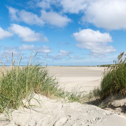 Dänemark · Landschaft